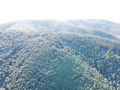 Santa Magdalena de Pulpis